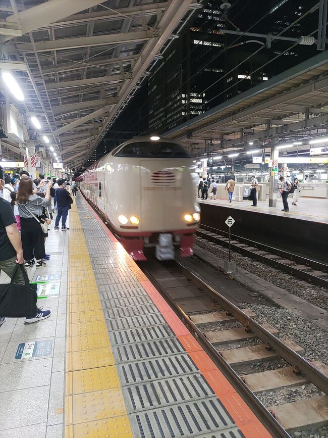 旅行をしていた当仕事が忙しく、仕事が一段落した翌週に東京から博多まで片道切符を購入し尾道、広島市内、宮島と旅をして参りました。<br />旅程は以下の通りです。<br />7月21日 21:50発サンライズ瀬戸・出雲で岡山へ。車内泊。<br />7月22日岡山から尾道へ山陽本線で移動。尾道を散策。尾道から広島市内へ移動して広島市内で宿泊。<br />7月23日広島から宮島へ移動。宮島散策と宿泊<br />7月24日山陽本線で宮島から岩国、岩徳線で岩国から徳山へ、徳山から山陽新幹線で博多、博多から地下鉄で福岡空港、福岡空港からJALで羽田空港まで帰ってきました。<br /><br />この旅行の目的は寝台特急サンライズに乗りたい!尾道を散策したい!宮島で泊まりたい!を全てぶち込んだ旅行です。結構ハードな旅程でした。<br /><br />