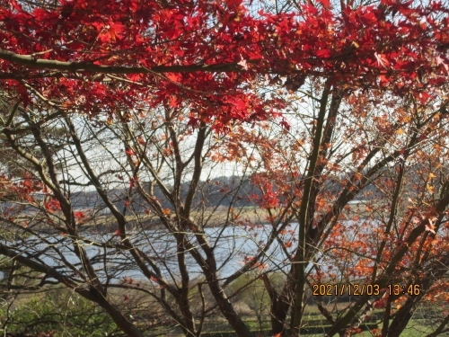 我孫子市高野山桃山公園、高野山桃山公園の南側から見える手賀沼は絶景です。手賀沼を一望できる高野山桃山公園は、眺望を楽しむ高台と、緑を保存した斜面林、湧水を使って復活させたビオトープの3つのエリアで構成されています。広場から階段を降りると南側斜面の下側に湧水を使って復活させたビオトープがあり、市民農園や水生植物園の藤棚の道をたどると、手賀沼遊歩道へとつながります。香取神社の東、花畑の向い。紅葉の時期は紅葉が綺麗です。<br />