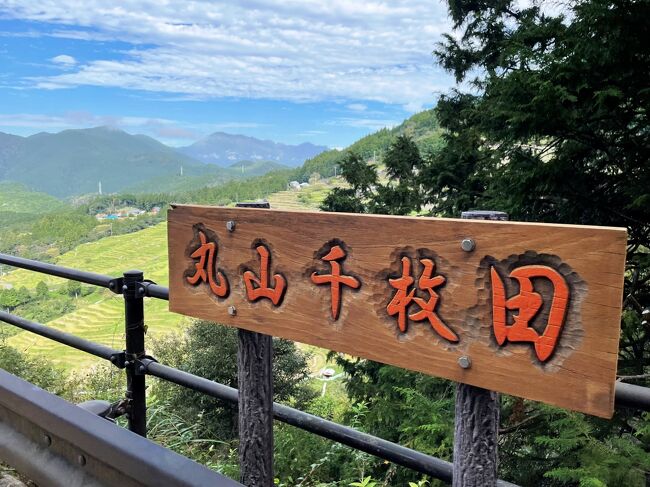 静岡→琵琶湖湖東→静岡→熊野と、怒涛の旅もいよいよ終わります。<br /><br />飛行機のチケットは「丘珠空港⇔静岡空港」なので、本当は伊丹空港のほうが近いのかもしれないけど、静岡まで戻らなくちゃなりません。<br />千歳空港から、静岡まで飛んでると帰りは伊丹からということも出来たのにね。（今年から冬期間は千歳から飛んでるみたい、通年にしてほしいな～）<br /><br />静岡に戻りがてら、まだ行ってなかった「熊野速玉大社」と「神倉神社」に参拝したあと、夫にサプライズで予定に組み込んでた「丸山千枚田」と、たまたまIC近くにある観光名所の「鬼ヶ城」と回って、ついでの観光もしながらドライブ気分。<br /><br />いや～、晴れ女、頑張りました。<br />「曇／雨」予報だった熊野滞在中は、真夏かというくらいのお天気に恵まれ、帰りの高速伊勢あたりを走っているときに、大雨に当たるという、晴れ女、いまだ健在！を確認。（笑）<br /><br />それにしても、歩きに歩いた、それも階段や山登り？続きだったのにも関わらず、一切筋肉痛なし！<br />ま、若いということにしておきましょう。（笑）<br /><br />一応、気をつけながらの旅でしたが、密になることはほとんどなく、山の中は貸切状態だったので、思いっきり自然の中を歩くことが出来て生き返りました。<br />今回の旅は、本当にたくさんの神社お寺に参拝しましたが、お願いすることは唯一つ「コロナ収束」でした。<br />普通に生活できることが「感謝」でしかないということに気付かされたのかもしれませんね。<br /><br />さ、次はどこへ行こうかな！<br /><br />★熊野古道歩き旅行記★<br />　①熊野那智大社　https://4travel.jp/travelogue/11727235<br />　②牛馬童子～継桜王子　https://4travel.jp/travelogue/11727241<br />　③発心門王子～熊野本宮大社　　https://4travel.jp/travelogue/11727359<br /><br />