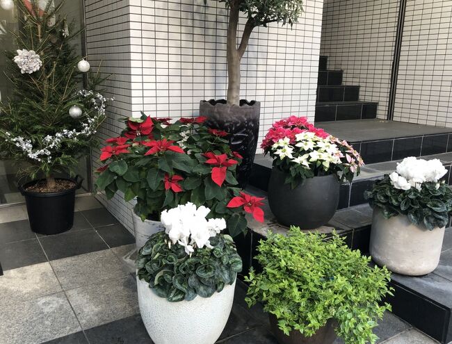 2021年12月2日(木)~7日(火)成田から福岡~小倉を一人旅しました。<br />友達や従姉妹とのランチやお茶・夕食も含め、ほぼ毎月の恒例の福岡旅です。今回の目標は、いつものように、暮らすように旅はするものの、新しいお店を開拓すること。当たり・外れを覚悟の6日間でした。①から⑥まであります。よろしければ最後までご覧ください。<br />① 12月2日(木) 自宅~成田空港~福岡空港~博多~小倉ホテル<br />② 12月2日(木)~4日(土) 小倉 買い物・ランチ・お茶<br />③ 12月4日(土) 小倉 夜景<br />④ 12月5日(日) 小倉~博多 街巡り<br />⑤ 12月6日(月) 天神 買い物・ランチ・お茶<br />⑥ 12月7日(火) 天神~博多~福岡空港~成田空港
