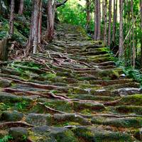 2021年フィナーレ旅は東海 Vol.2癒しの星空と里山の世界遺産リゾート、古の”熊野古道”を歩くwithひとぴちゃん