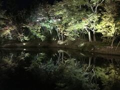 2019年11月　京都大津旅行　③　京都バスツアー　青蓮院門跡　高台院　夜間特別拝観