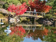 市街地の紅葉はまだまだでした♪　園児の歓声がひびく名古屋白鳥公園♪