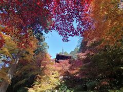 ’２１　滋賀 紅葉＆100名城さんぽ３　湖東三山めぐり②　松峯山 金剛輪寺