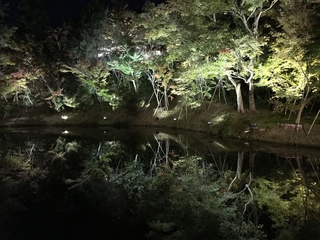 2019年11月　京都大津旅行　③　京都バスツアー　青蓮院門跡　高台院　夜間特別拝観