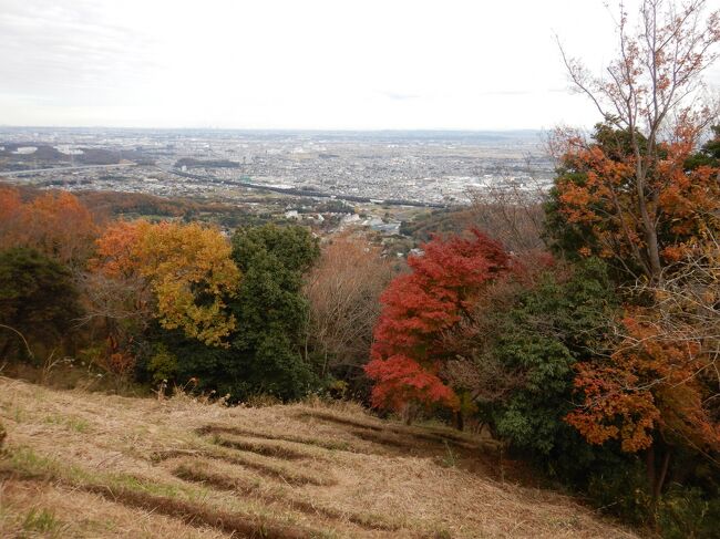 そろそろかな～と紅葉を期して聖峰再び。<br /><br />行程<br />塔の山緑地公園駐車場ー聖峰登山口ー女坂ー聖峰(山頂付近)ー<br />聖峰不動尊ー正参道ー聖峰登山口ー塔の山公園P<br /><br />すっかり定番になりつつある聖峰ハイキング。<br />お手軽に絶景が楽しめていい休日を過ごせます。<br />