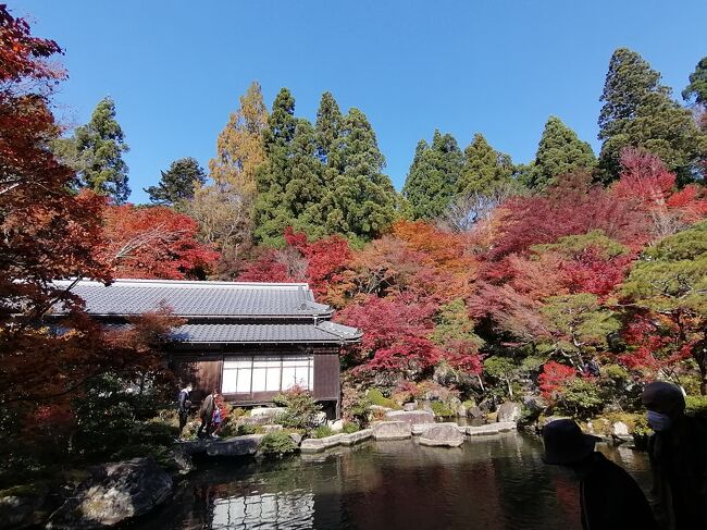 ’２１　滋賀 紅葉＆100名城さんぽ４　湖東三山めぐり③　釈迦山 百済寺