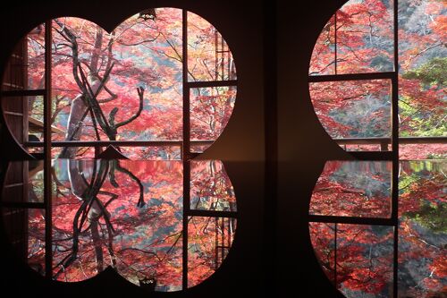 油彩3号木製額　「屋根シリーズ　紅葉」 油彩3号木製額「屋根シリーズ紅葉」