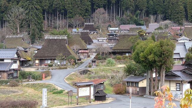 定番となりつつある冬の京都旅行。今回もＪＲ東海ツアーを利用し京都に行って来ました。<br /><br />２日目は京都府のほぼ真ん中に位置する南丹市にある美山「かやぶきの里」に行って来ました。<br />前日に雨の予報があった為、コンビニで買ったビニール傘持参で行ったにも関わらず、雨は一滴も降りませんでした。<br /><br />以前から行ってみたいと思っていた美山ですが、思っていたより規模も小さくてわざわざ２時間もかけて行ったのに拍子抜け。<br />１０月に白川郷に行ったので余計にそう思えたのかもしれませんが。集落の中にはお店もなく、散策するだけなら１時間もあれば回れてしまいます。<br />最初は５時間くらいゆっくり散策しようと思っていたのですが・・・。無理でした。<br />ちょっとがっかりな２日目になってしまいました。<br />