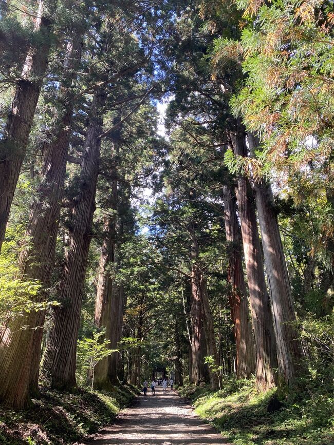 中軽井沢滞在中、戸隠神社へ行きたくて検索していたら、<br />【戸隠神社五社を全て徒歩で回るには、およそ4時間の時間が必要です】<br />という記事を見つけ、4時間なら歩ける！と友達を誘って出かけました。<br />アラ還女子、トレッキングジュースにステッキ、熊避け鈴音と準備万端で出発！<br /><br />戸隠神社五社とは<br />・奥社（おくしゃ）<br />・中社（ちゅうしゃ）<br />・宝光社（ほうこうしゃ）<br />・九頭龍社（くずりゅうしゃ）<br />・火之御子社（ひのみこしゃ）<br />長野市戸隠にあるこの五社を合わせて戸隠神社と呼び、総本社は奥社です。<br /><br />全て徒歩の場合は<br />宝光社→火之御子社→中社→九頭龍社→奥社の順です。<br /><br />途中でとんでもない勘違いに気付きましたが、無事に五社をお参りすることができました。<br />