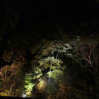 秋の伊豆と信州の優雅な旅♪　Vol.55 ☆湯ヶ島温泉アルカナイズ：夜の灯りの美しいザ・スイート♪