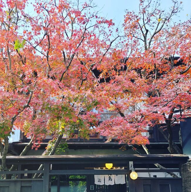 シニアトラベラー！「道の駅「にのみや」・「食の蔵　荒爲」・「道の駅　かさま」を巡るドライブ満喫の旅