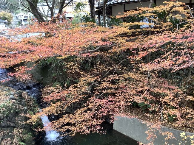 インスタで瑠璃光院の写真を見て一目惚れ。早速、紅葉満開時期を予想して11月に予約を入れた。ところが所用勃発。泣く泣く日程を12月に変更。もう紅葉終わっとるやん。3分の2ぐらいは散ってたかな。残り3分の1の紅葉を楽しむ旅です。<br /><br />行程:「叡山電車」→「圓光寺」→「詩仙堂」→「瑠璃光院」→大原(「三千院」「寂光院」)