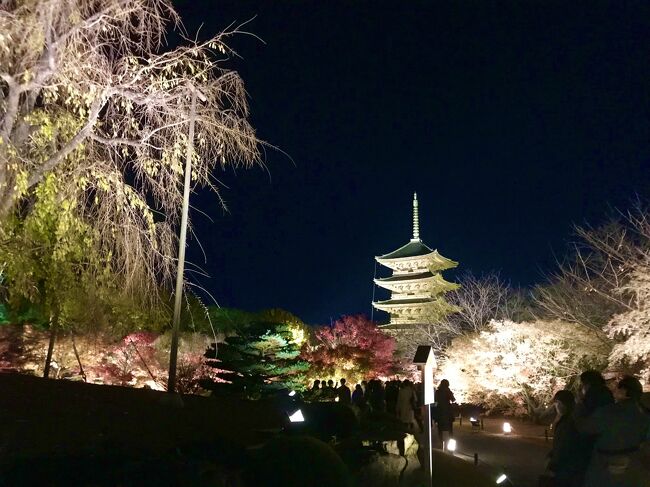 10月半ばの末娘の小学校時代のママ友との月1ランチ時に旅話で盛り上がり<br />このコロナ禍で海外旅行は夢のまた夢・・・（涙）という事で<br />&quot;そうだ 京都へ行こう（笑）&quot;とすぐに話がまとまり<br />急遽2泊3日で町家に泊って初冬の京都を楽しむ事に決定！！<br /><br />女子旅（12/05～12/07）の収支決算<br />　　23,020　　　　　新幹線(EXカードで購入)　<br />　　14,250　　　　　ホテル<br />　　11,380　　　　　観光(拝観料、タクシー代、交通費、観光税他)　<br />　　25,000　　　　　食事　<br />　 　 　800　　　　　雑費(手荷物配送料他)<br />ーーーーーーーーーーーーーーーーーーーーーーーーーーーーーーーー<br />　 \ 74,450 / 1人　　　　　　　　　計<br /><br />★女同士で楽しむ冬の京都 1日目～～♪♪（12/05）<br />　(伏見稲荷大社～中村藤吉本店平等院店～平等院～東寺～めなみ)<br /><br />最初の予定では最終日に行く予定だった伏見稲荷大社と平等院<br />でも最終日が雨予報だったので観光の順番を変えて初日に行く事に<br /><br />全国に約3万社ある稲荷神社の総本宮で朱い千本鳥居が壮観な<br />「伏見稲荷大社」<br />善美を尽くした装飾が優美で格調高い平安王朝貴族の美意識を今に伝え<br />鳳凰を屋上に戴く鳳凰堂が美しい「平等院」<br />平安京の遺構として今に残り、京都のシンボルとなっている五重塔や<br />金堂など歴史的建造物が多数ある「東寺」<br />おばんざいのお店「めなみ」で夜ご飯を楽しみます。<br />ちょうど「東寺」が夜間特別拝観の期間で<br />紅葉と五重塔のライトアップが素晴らしくて大満足でした～～♪♪<br /><br /><br />★女同士で楽しむ冬の京都 2日目～～♪♪（12/06）<br />　(清水寺～朝食喜心～今宮神社～圓光寺～哲学の道～無鄰菴～平安神宮<br />　～圓徳院～高台寺～じき宮ざわ)<br />　https://4travel.jp/travelogue/11728661<br />★女同士で楽しむ冬の京都 3日目～～♪♪（12/07）<br />　(高台寺～京都祇園茶寮～AYANOKOJI～加加阿365～緑寿庵清水<br />　～（進々堂京大北門前）～田ごと）<br />　https://4travel.jp/travelogue/11729747<br /><br />