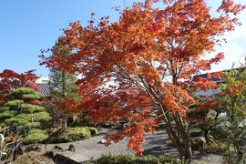 秋の伊豆と信州の優雅な旅♪　Vol.61 ☆上諏訪温泉：片倉館と美しい紅葉♪