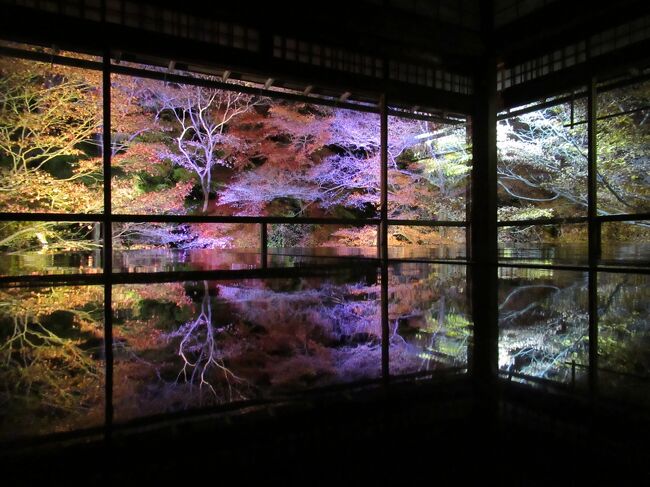 また京都に来ました。前日はＪ１リーグ最終節を見るために柏へ日帰り。<br />そして翌日は京都日帰り旅。<br /><br />かなり強行軍で疲れました。<br /><br />今回は事前予約制で人数制限をしていた瑠璃光院をメインに<br />晩秋の京都紅葉の旅へ。<br /><br />朝は瑠璃光院の公式サイトから時間指定で予約。<br />そして、夜はＪＲ東海のツアー扱いで、予約し、朝と夜での雰囲気の違いも<br />味わうことに。<br /><br />朝は淀屋橋から京阪電車のプレミアムカーに乗ってみた。<br />シートが気持ち良すぎて爆睡。<br /><br />出町柳からは夜の特別拝観でフリー切符がついていたため、叡山鉄道でいろいろと回ってみた。<br /><br />八瀬比叡山口はもちろん、一条寺ラーメン街道や鞍馬寺なども立ち寄る。<br /><br />紅葉の時期は過ぎているかと思ったが、12月1週目でもまだまだ綺麗だった。<br /><br />