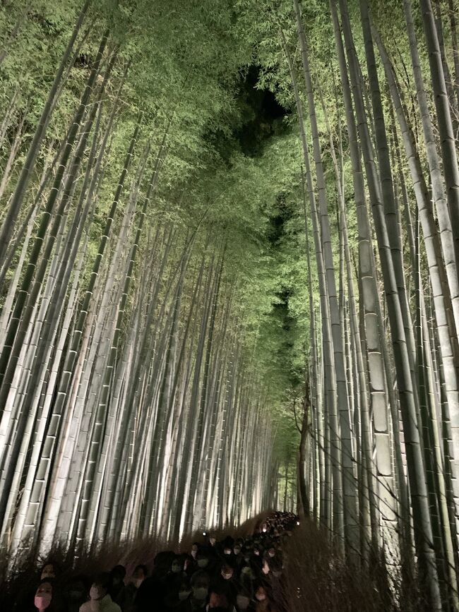 旅の途中　逢いに行くわ汽車に乗って～ KYOTO