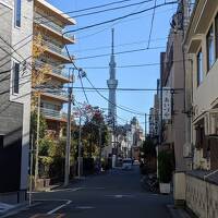 【東京】影のスポット巡り（旧吉原遊廓、山谷ドヤ街、東京拘置所）