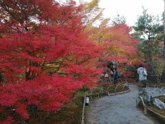 ’２１　京都 紅葉さんぽ７　嵐山 二尊院～宝厳院の紅葉