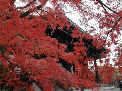 ’２１　京都 紅葉さんぽ１１　金戒光明寺のアフロ大仏～真如堂～栄摂院