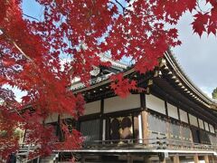 ’２１　京都 紅葉さんぽ１８　山本喫茶のモーニング～仁和寺の紅葉