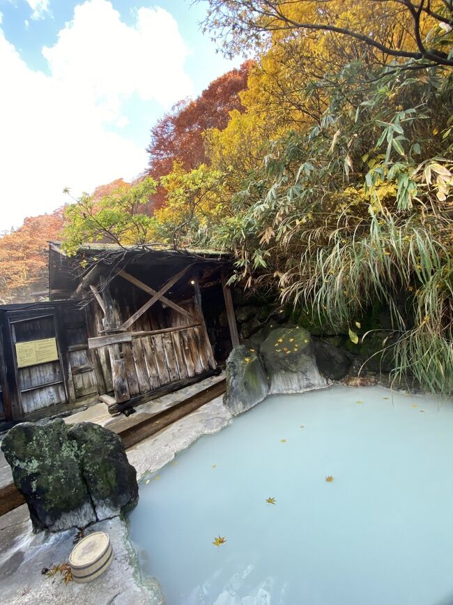 憧れの乳頭温泉。お写真などでよく見かける白濁した露天風呂。せっかく秘湯とよばれる所まで行くのだから、この露天風呂に入ってみたい。でもこのお風呂は混浴という大きな壁が… <br />勇気を持って挑戦した夏秋の混浴挑戦記です。資料が少なくどうやって入るのだろうと謎に思ったので、これから鶴の湯に行かれる女性の参考になれば幸いです。<br />宿泊は休暇村乳頭温泉郷です。温泉の後は田沢湖を一周し紅葉を楽しみました。