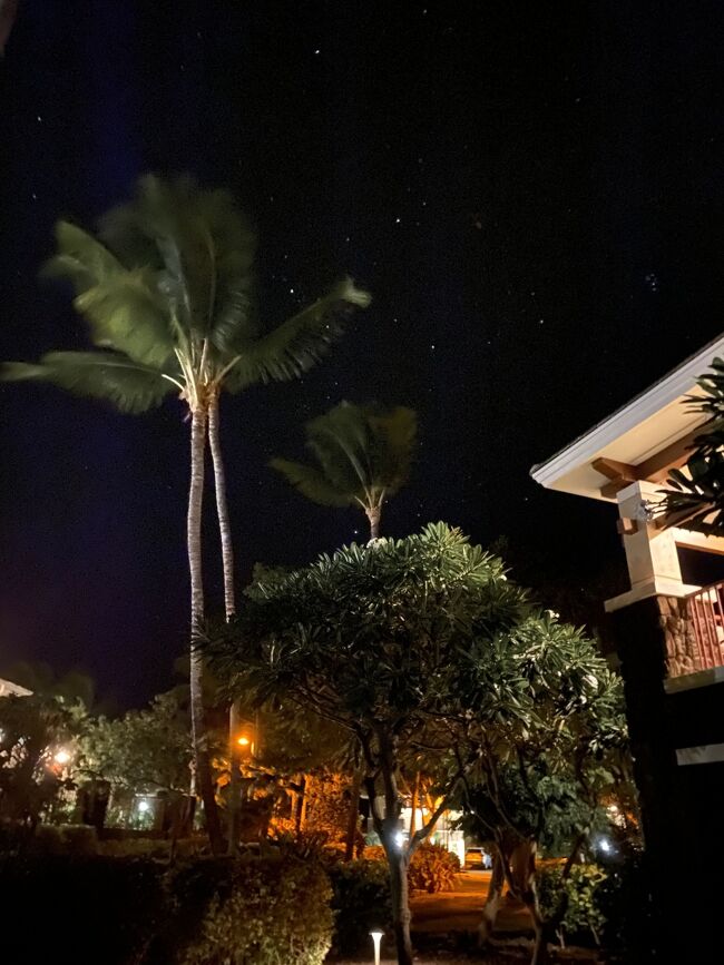 3か月弱ぶりにコナ滞在しました。<br /><br />前回の9月と違うHilton Grand Vacation Club at Waikoloa Beach Resortに宿泊です。<br />今回はHGVCポイント少なめの滞在でしたので1階の部屋でした。<br />1階の良いところはすぐに庭に出られるところですね。<br />夜は相変わらずとても綺麗な星空が鑑賞できました。<br /><br />初日はホテルに到着し星空を堪能しただけで就寝です