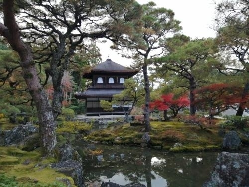滋賀で紅葉を見た後、続けて京都の紅葉を7日間で見てきました。去年も同時期に京都の紅葉を見ました。2020年はどこもほぼ散っていて残念でしたが、2021年は結構残っていて綺麗でした。<br /><br />★旅行記１２のルート<br />哲学の道→銀閣寺→青おにぎり→京都祇園気楽inn（宿）<br /><br />*------------------------------------------------------*<br />1日目　2021年11月22日（月）<br />１．雨の東福寺＆DRAGON BURGER<br />２．ぎょうざ処 亮昌＆京都駅大階段で光のアート<br />３．東寺の紅葉ライトアップ<br />*------------------------------------------------------*<br />2日目　2021年11月23日（火）祝日<br />４．早朝の東福寺さんぽ<br />５．嵐山 天龍寺～野宮神社～嵐山よしむらで蕎麦ランチ<br />６．嵐山 常寂光寺の紅葉<br />７．嵐山 二尊院～宝厳院の紅葉<br />８．永観堂の紅葉ライトアップ<br />*------------------------------------------------------*<br />3日目　2021年11月24日（水）<br />９．南禅寺の紅葉<br />10．永観堂の紅葉<br />11．金戒光明寺のアフロ大仏～真如堂～栄摂院<br />12．哲学の道～銀閣寺の紅葉←★今ここ<br />13．清水寺の紅葉ライトアップ<br />*------------------------------------------------------*<br />4日目　2021年11月25日（木）<br />14．早朝の清水寺さんぽ<br />15．阿古屋茶屋のお茶漬けバイキング～天の抹茶レアチーズケーキ<br />16．お茶と酒 たすきのかき氷～高台寺・圓徳院 紅葉ライトアップ<br />17．八坂神社～喫茶ガボール<br />*------------------------------------------------------*<br />5日目　2021年11月26日（金）<br />18．山本喫茶のモーニング～仁和寺の紅葉<br />19．龍安寺～金閣寺の紅葉<br />20．喫茶マドラグ～二条城夜会～マルシン飯店<br />*------------------------------------------------------*<br />6日目　2021年11月27日（土）<br />21．この旅2回目の金閣寺<br />22．かざりやのあぶり餅＆今宮神社～タンポポのラーメン<br />23．フランソワ喫茶室～祇をん萬屋のねぎうどん<br />*------------------------------------------------------*<br />7日目　2021年11月28日（日）最終日<br />24．善峯寺の紅葉<br />25．出町ふたばの豆餅＆栗餅～京都駅～東京駅