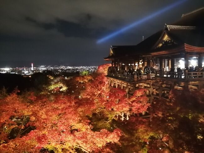 ’２１　京都 紅葉さんぽ１３　清水寺の紅葉ライトアップ