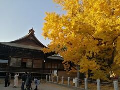 ’２１　千葉さんぽ　葛飾八幡宮の大銀杏＆本八幡グルメ