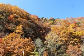 秋の伊豆と信州の優雅な旅♪　Vol.85 ☆上諏訪温泉から新穂高温泉へ　紅葉の美しい安房峠付近山岳♪