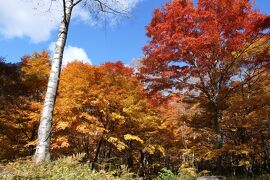 秋の伊豆と信州の優雅な旅♪　Vol.86 ☆上諏訪温泉から新穂高温泉へ　紅葉の美しいモミジ♪