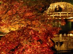 名古屋の名園　白鳥庭園の紅葉