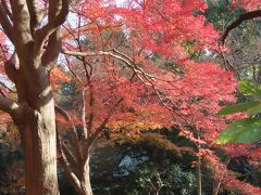 久し振りに皇居・東御苑を訪問する①大手門～二の丸休息所迄