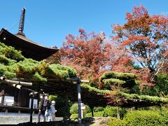 2021年秋の善峯寺