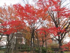 見沼通船堀のあとの芝川がどこで隅田川に繋がるか調べたら『巨大な車両基地』を発見！