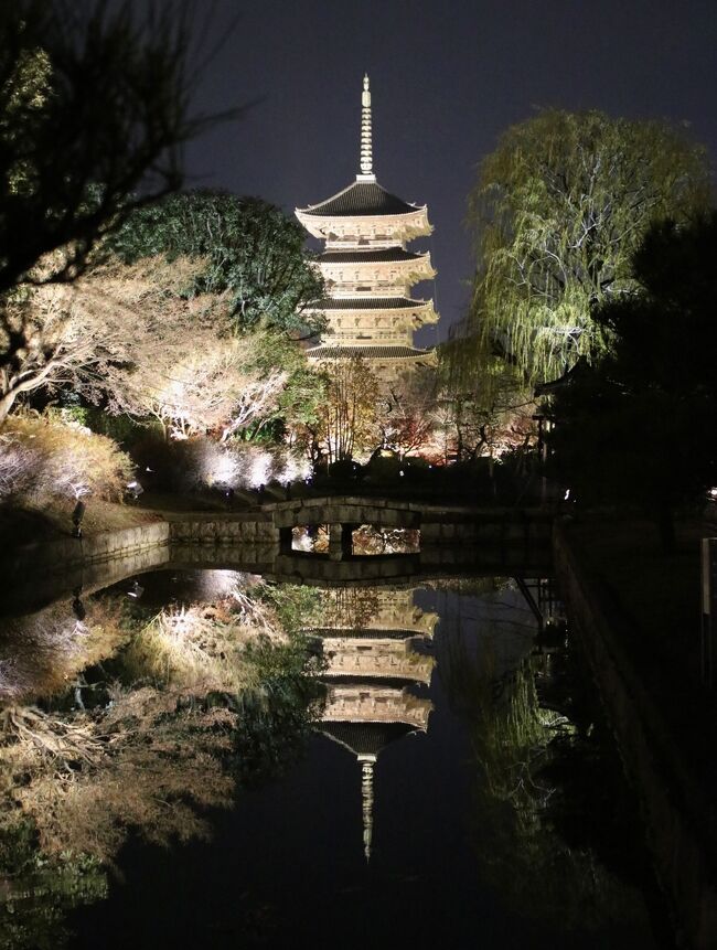 息子との京都旅も２日目。<br />ある意味、息子にとって今日はメイン。<br />龍馬の生涯に触れる旅。<br /><br />私にとってもそれは同じ。<br />息子に龍馬と名をつけようと本気で考えてたくらいだから…^ ^<br /><br />今日の行程<br />清水寺<br />幕末ミュージアム<br />イクスカフェ祇園八坂<br />八坂神社<br />ぎをん小森<br />池田屋襲撃事件跡<br />酢屋<br />近江屋<br />ビアンキショップ<br />銀閣寺<br />京都駅<br />清十郎でお好み焼き<br />東寺　（ライトアップ）<br />咲咲　串カツ<br />こんな１日でした。<br />24000歩です。<br /><br />東寺のライトアップ、素晴らしかったです。<br />なんか時空を超えたような…<br />タイムスリップしたような感覚になりました。<br /><br />４年前に息子と２人でロンドン、パリ、ベネツィア、ローマと旅しました。その時は小学２年。まだまだ小さくて食べ過ぎて、口からピザが出てたりしましたが、今は私に指示を出してくれます。<br />そっちじゃないよ<br />こっちだよ…<br />時の流れを感じます。<br /><br />今日は最終日。<br />夕方には伊丹です。<br />伏見稲荷神社、平等院鳳凰堂、第一旭でラーメン。<br />これらを目指します。<br />私の住む北海道では朝から吹雪らしい…<br />現実に目を背けて京都を歩いてきます！<br /><br /><br />