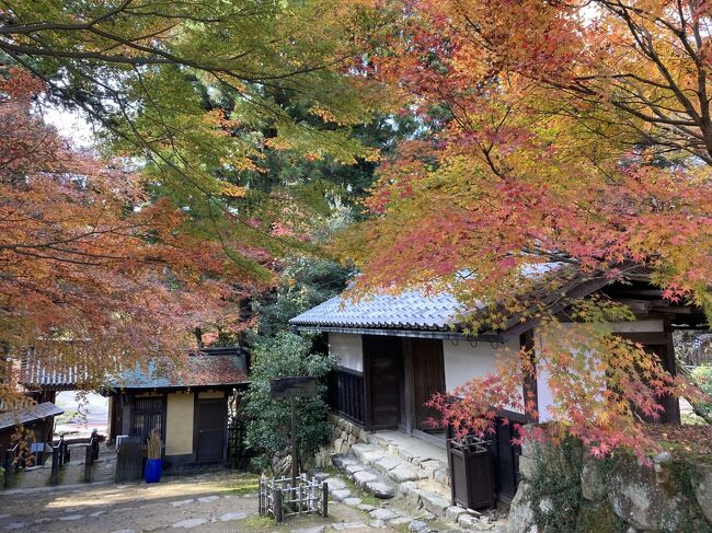 初の滋賀、二泊三日の旅。昨日は、青空のもと、マキノのメタセコイア並木を楽しめて良かった～。<br /><br />今日は、彦根城と、湖東三山をバスツアーで。<br /><br />今回、比叡山はまた次回、としたけど、ちょうど紅葉も綺麗なお寺巡りもしてみたい、湖東三山巡りのパンフレットをもらってきてて、それぞれのお寺がどういうところがよく知らないけど、このバスツアーを利用すると、昼食もついてて、一日ゆったり効率的に使えそう、と、近江鉄道のホームページで申し込み。<br /><br />前日夜は、天気が荒れて雨も降ってたけど、朝には回復。バスで、初めて、滋賀の東部を廻ってきました。<br />