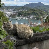 美しい島影 どこまでも穏やかな海…秋の瀬戸内ゆるり旅〈１〉再訪尾道☆彡我らがパラダイス(=^・^=)