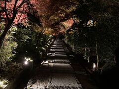 12.10夜～最終日 ライトアップ散策から淡路島へ