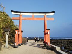 宮崎市内観光～神社巡り～