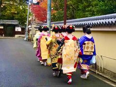 女同士で楽しむ冬の京都 2日目～～♪♪（清水寺～朝食喜心～今宮神社～圓光寺～哲学の道～無鄰菴～平安神宮～圓徳院～高台寺～じき宮ざわ）