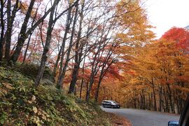 秋の伊豆と信州の優雅な旅♪　Vol.96 ☆新穂高ロープウェイから美しい紅葉の上高地へ♪