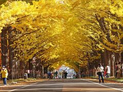 紅葉の札幌　北海道大学　2021