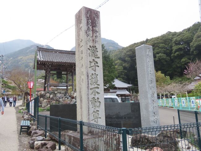 2021年3月30日(火)2時過ぎ、養老孝子坂の途中にある養老寺に立ち寄る。真宗大谷派の寺院で、山号は滝寿山。西美濃三十三霊場第二十五番札所。養老孝子伝説の源丞内ゆかりの寺院で、不老長寿のご利益がある。本尊は木造の十一面千手観世音菩薩で国の重文となっている。他にも平安時代や鎌倉時代の剣や仏像などが同じく国の重文となっている。<br /><br />奈良時代の元正天皇の御代、孝子源丞内(後の美濃守)が開いた寺と伝わる。当時は法相宗の寺院で、天平時代には七堂伽藍も整い、南宮山から養老山脈の山麓に奈良時代に作られた法相宗の寺院群、多芸七坊の一つに数えられていた。当時は現在地より約1㎞南東のこどもの国辺りにあった。<br /><br />戦国時代の永禄年間(1558～1569年)に織田信長の兵火で焼失するが、豊臣家の家臣で美濃大垣城主だった伊藤盛景が現在地に小堂として再建し、その後1607年に美濃国高須藩藩主徳永寿昌の援助で本堂が再建される。その頃浄土真宗に改宗する。<br /><br />現在の本堂は元々は養老の滝を修験の場とする滝守不動明王の不動堂だった。このお堂から寺の南側の滝谷に架かる橋は不動橋と命名されている。この建物の右手に本来の本堂があったが、老朽化し、修繕費も集まらず2016年に取り壊された。<br /><br />滝守不動明王は鯰に乗ってきたと伝わり、鯰を食べて参拝したり、滝に浴すると罰があたると云われる。毎年3月の春分の日には、菊水泉の水を不動明王に奉納し、養老の滝の安全を祈願している。<br /><br />宝物殿に収められているご本尊の十一面千手観音立像は寄木造の像高98cm、鎌倉初期の優雅な面貌の作とのこと。また、滝守不動明王立像は、木造の立像で高さ97cm。こちらは岐阜県の指定文化財。<br /><br />境内の奥には孝子源丞内のものとされる墓がある。また、その横には孝道句碑、伊吹俳句会句碑、石川桂郎句碑が並んで建てられている(下の写真1)。石川桂郎は1975年に亡くなった俳人、随筆家、小説家、編集者。1955年には小説「妻の温泉」で直木賞候補になっている。<br /><br />また、入口近くにも高野素十句碑と山田麗眺子句碑が並んでいる(下の写真2)。高野素十は「ホトトギスの四S」と称された茨城県出身の俳人・医師で1976年没。山田麗眺子は名古屋市出身の俳人で、俳句結社「南風」の主宰を務めた。1996年没。このお寺に限らず、養老公園にやたら句碑が多い気がする。元正天皇の行幸や孝子の伝説があり、古来より名士・文士等が盛んに訪れて、その風光を愛しんだことからのようだ。<br /><br />ごろごろの岩の上に建てられた鐘楼は由来は不明だが、いい雰囲気だ。<br />https://www.facebook.com/media/set/?set=a.6827811080622191&amp;type=1&amp;l=223fe1adec<br /><br /><br />養老天命反転地に向かうが、続く