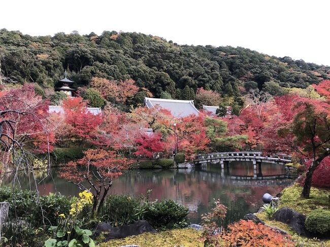 去年、京都の紅葉を見に行きまくって<br /><br />その中でわたし的ナンバーワンに輝いた<br /><br />「永観堂」に行ってきました。