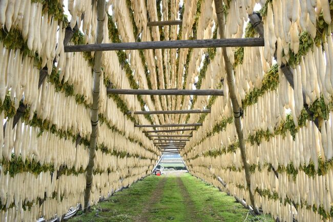 生産量日本一の干し大根と大根やぐらの町。