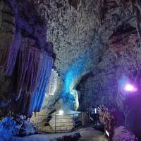 沖縄、沖永良部島の旅(３日目)