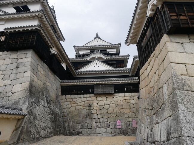 11月終わりから12月はいろいろな要因が重なって仕事が猛烈に忙しく、旅行どころではない状態に。<br />ただ、関西どこでもきっぷでJRが期間限定で発売する乗り放題切符のお得さを思い知り、もう1回くらい使いたい…とは心のどこかで思っていた。<br />期間限定の乗り放題切符はこの時期いくつか発売されていたもののどれも使用期間は12月末まで。<br />12月中旬になんとか仕事にめどがつき、12月の最後の土日なら何とかなりそう。<br />1週間前の時点でまぁ天気も大丈夫そうだし、と計画開始。<br />世間ではクリスマスと呼ばれる期間だけどね(笑)。<br />この機会に気になっていた京阪神からの往復の新幹線代+四国の特急自由席乗り放題の「四国くるりきっぷ」を使って松山城に行ってみようと計画。<br />切符の利用期間は3日間なので旅行期間は必然的に3日。<br />最初は松山と宇和島と高知に行こうかと思ったけど…宇和島と高知の間に特急は走っていないのでとんでもなく移動に時間がかかって無理だということが判明。<br />仕方なく高知を諦めて旅のプランニング。<br />年末のあわただしい時期だけど…なんとかなるかな?<br />と思っていたら…日曜日の天気予報で土曜日から寒波襲来とかで急に天気予報が変わり始めて週末の宇和島が雪の予報に。<br />マジか…と思いしばらく天気予報を注視。<br />すると土曜日は何とかなりそうだけど日曜はかなり寒くなりそう。<br />さてどうなったかは旅行記をどうぞ。