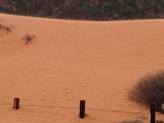ユタ州 コーラルピンク砂丘州立公園　－　美しいピンク色の砂でできた砂丘